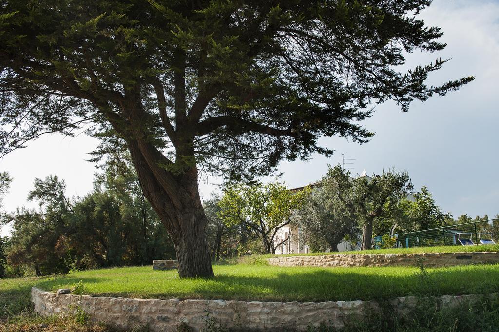 Villa Marchetti Cupra Marittima Eksteriør billede