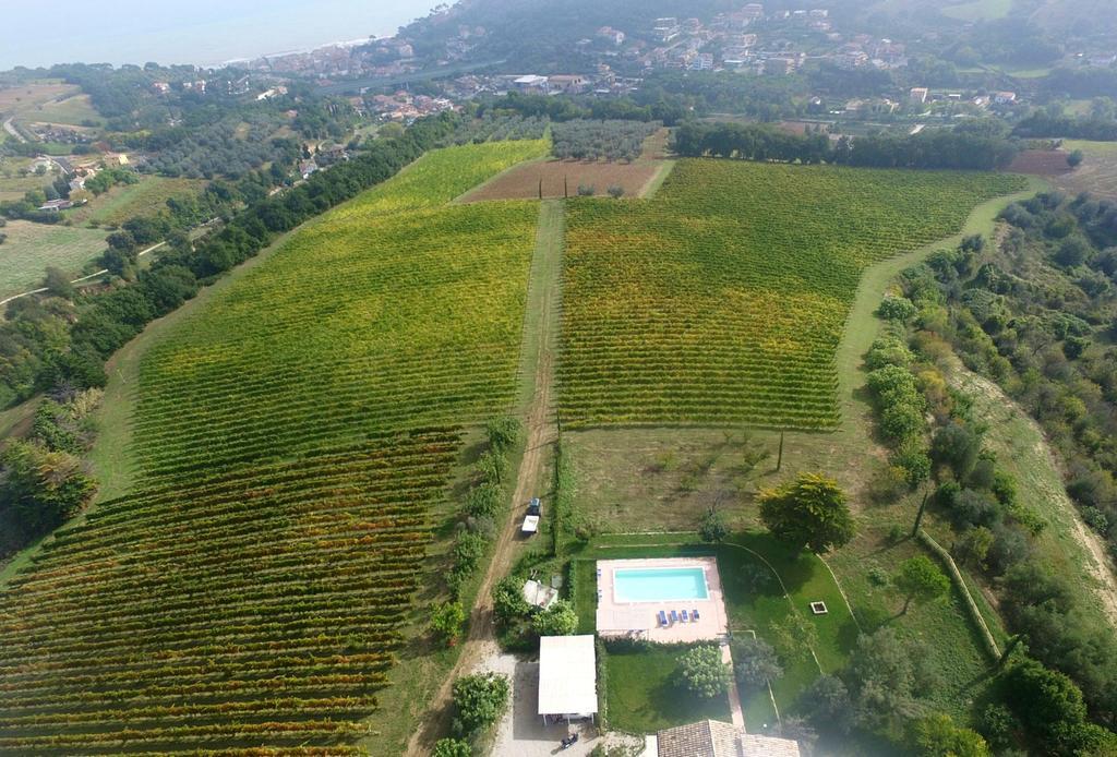 Villa Marchetti Cupra Marittima Eksteriør billede